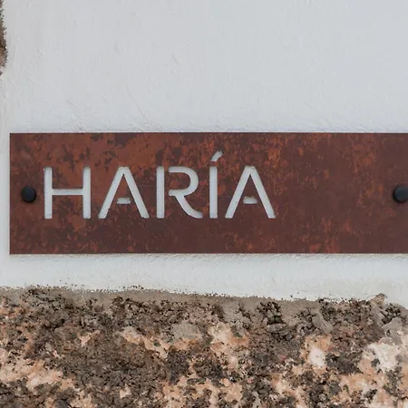Apartamento Arrieta Costa Rural Tabayesco